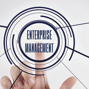 CIMA-Professional-Management-Level-E2-Enterprise-Management-