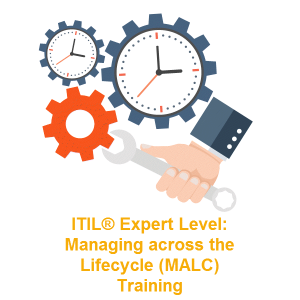 Expert Level – Managing across the Lifecycle (MALC) Training
